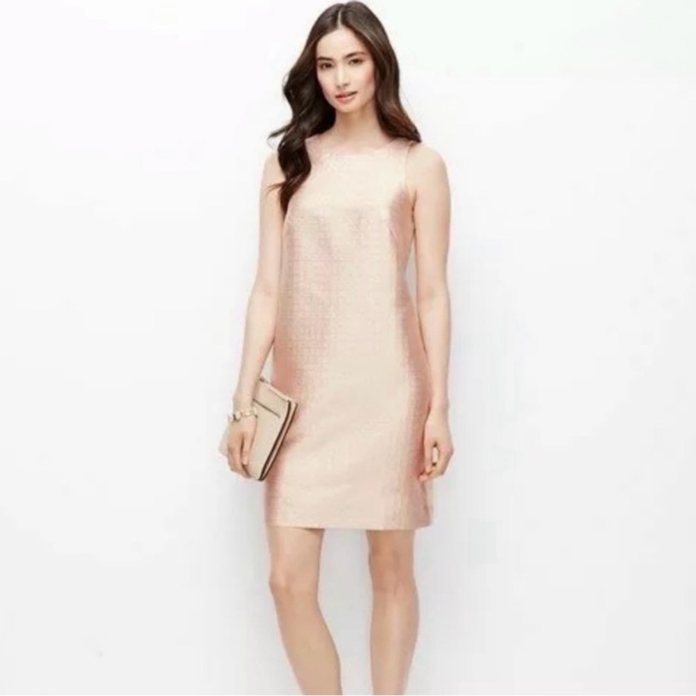 Ann Taylor Blush Textured NWT shift dress